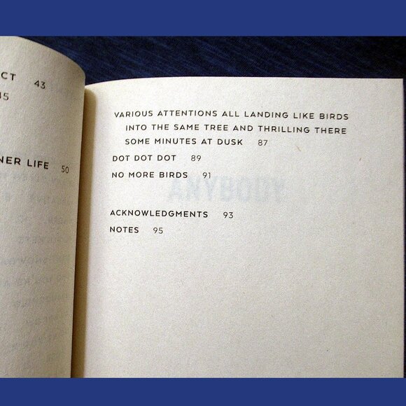 Book - Anybody: Poems, by Ari Banias - Picture 7 of 10